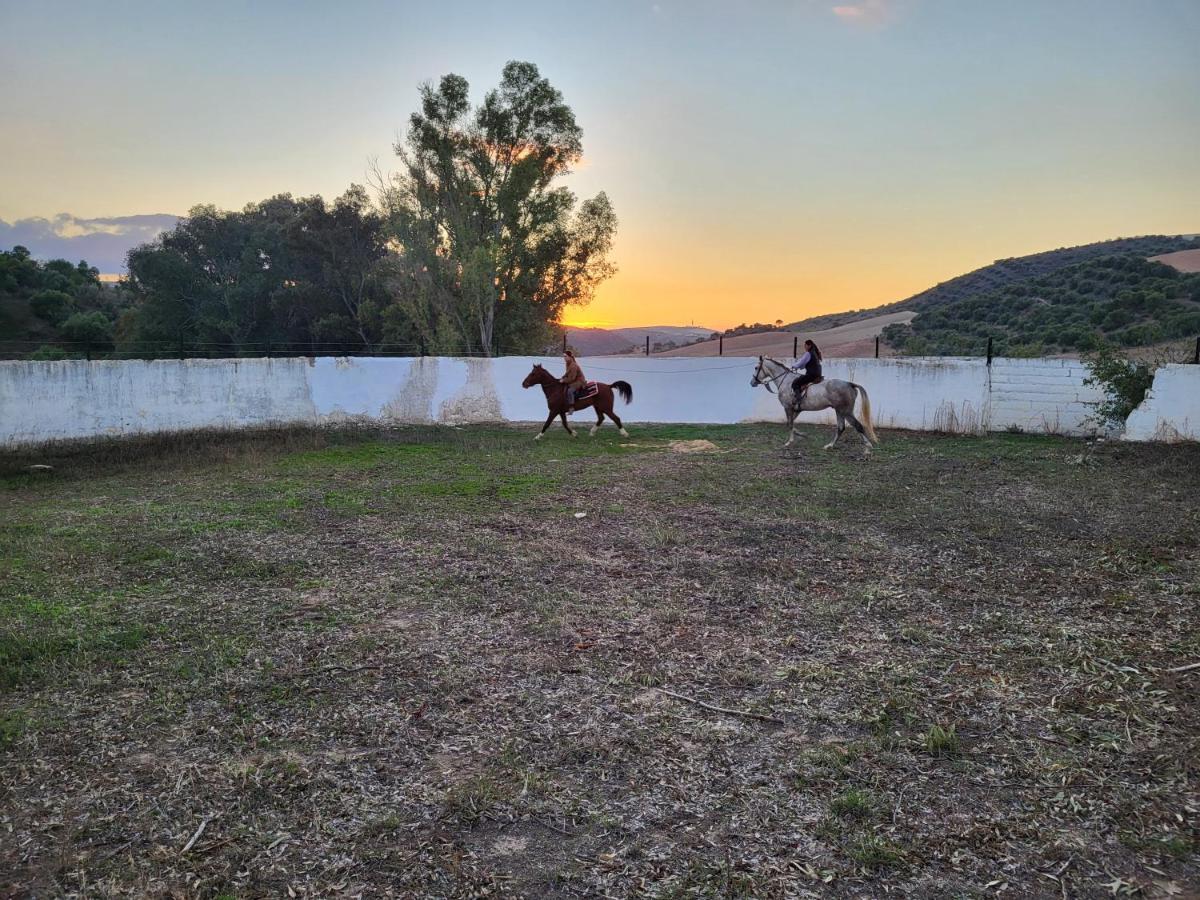 Hacienda Las Lumbreras Montellano المظهر الخارجي الصورة