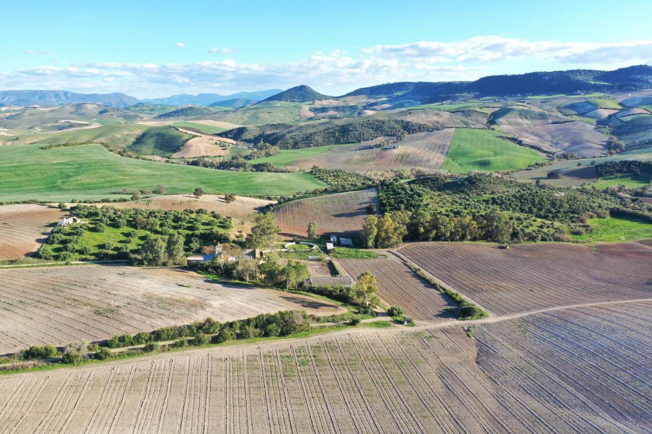 Hacienda Las Lumbreras Montellano المظهر الخارجي الصورة