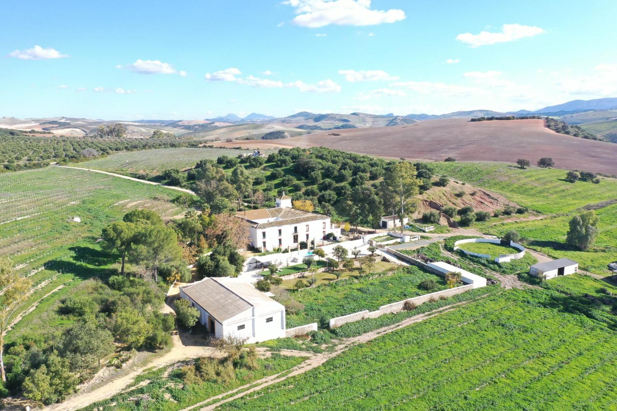 Hacienda Las Lumbreras Montellano المظهر الخارجي الصورة